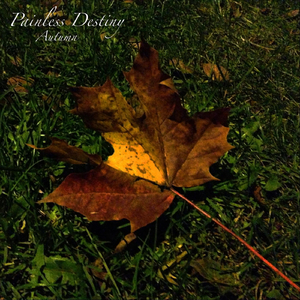 free性老头和老太
